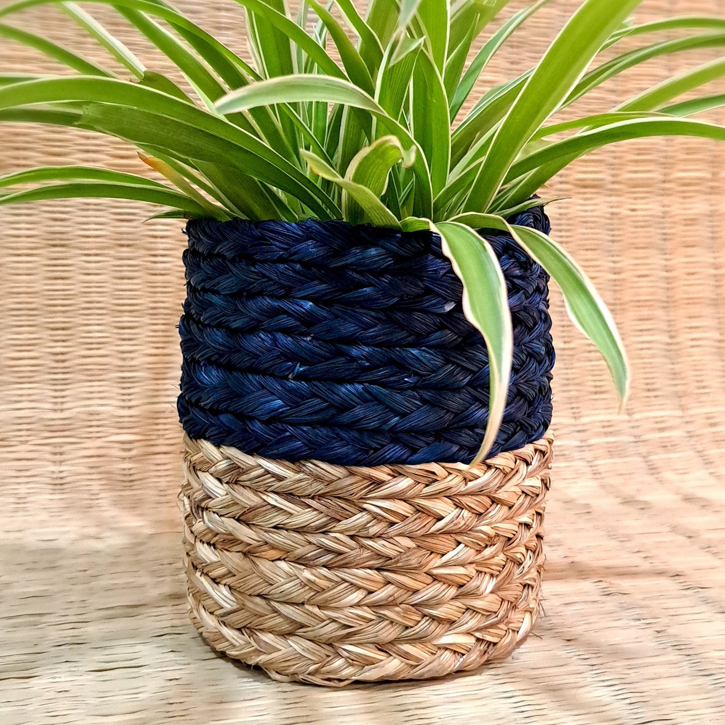 Sabai Planter 5"x5"