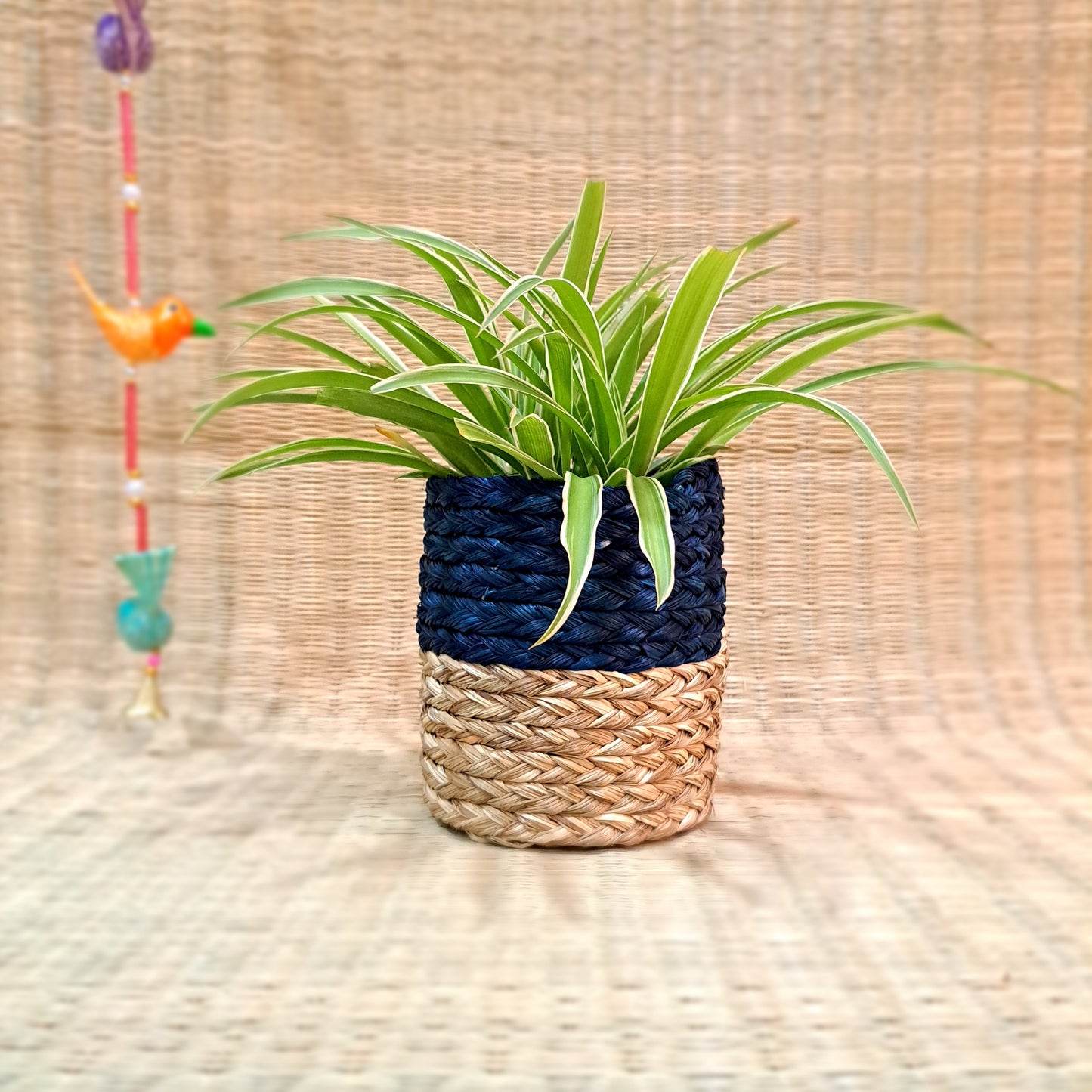 Sabai Planter 5"x5"