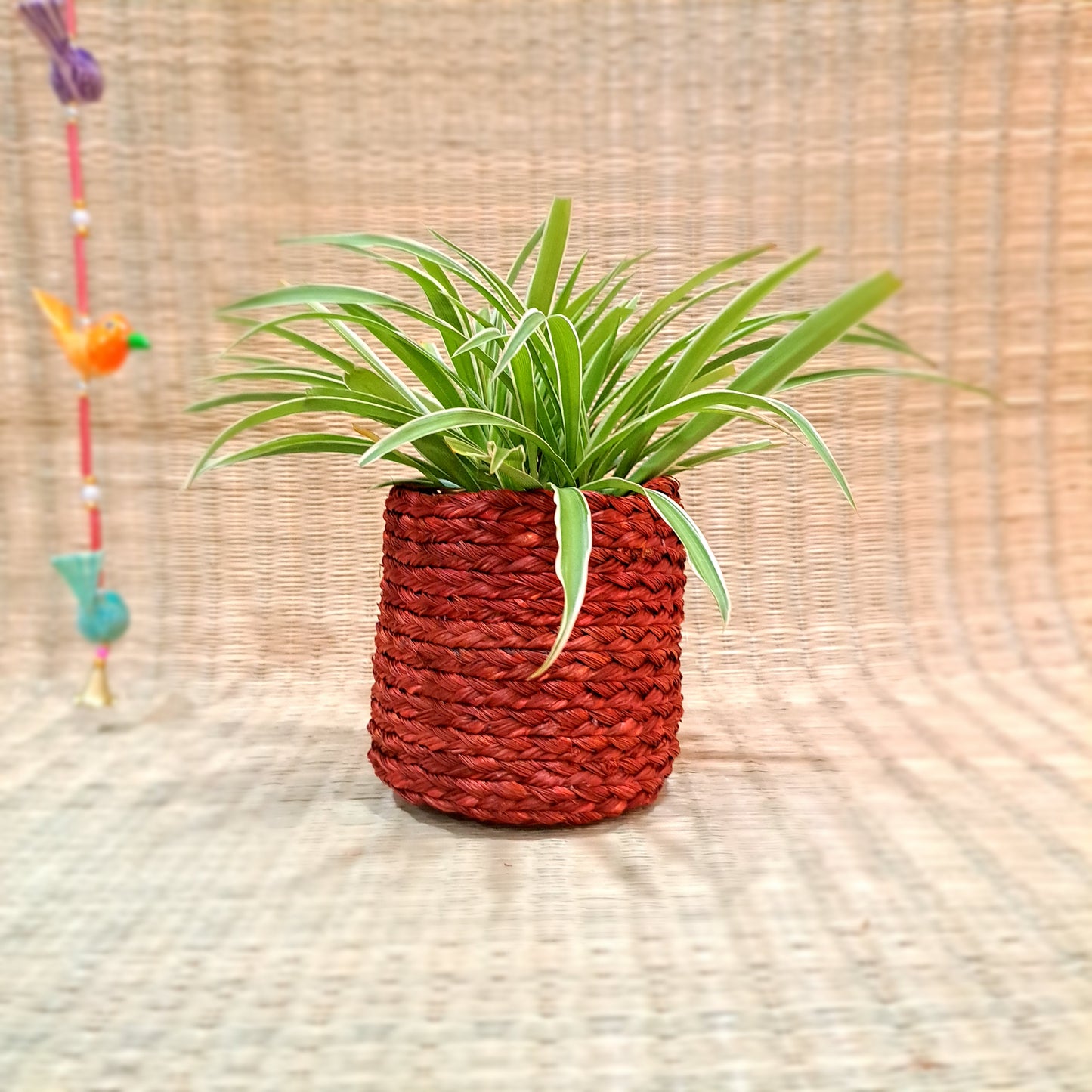 Sabai Planter 5"x5"