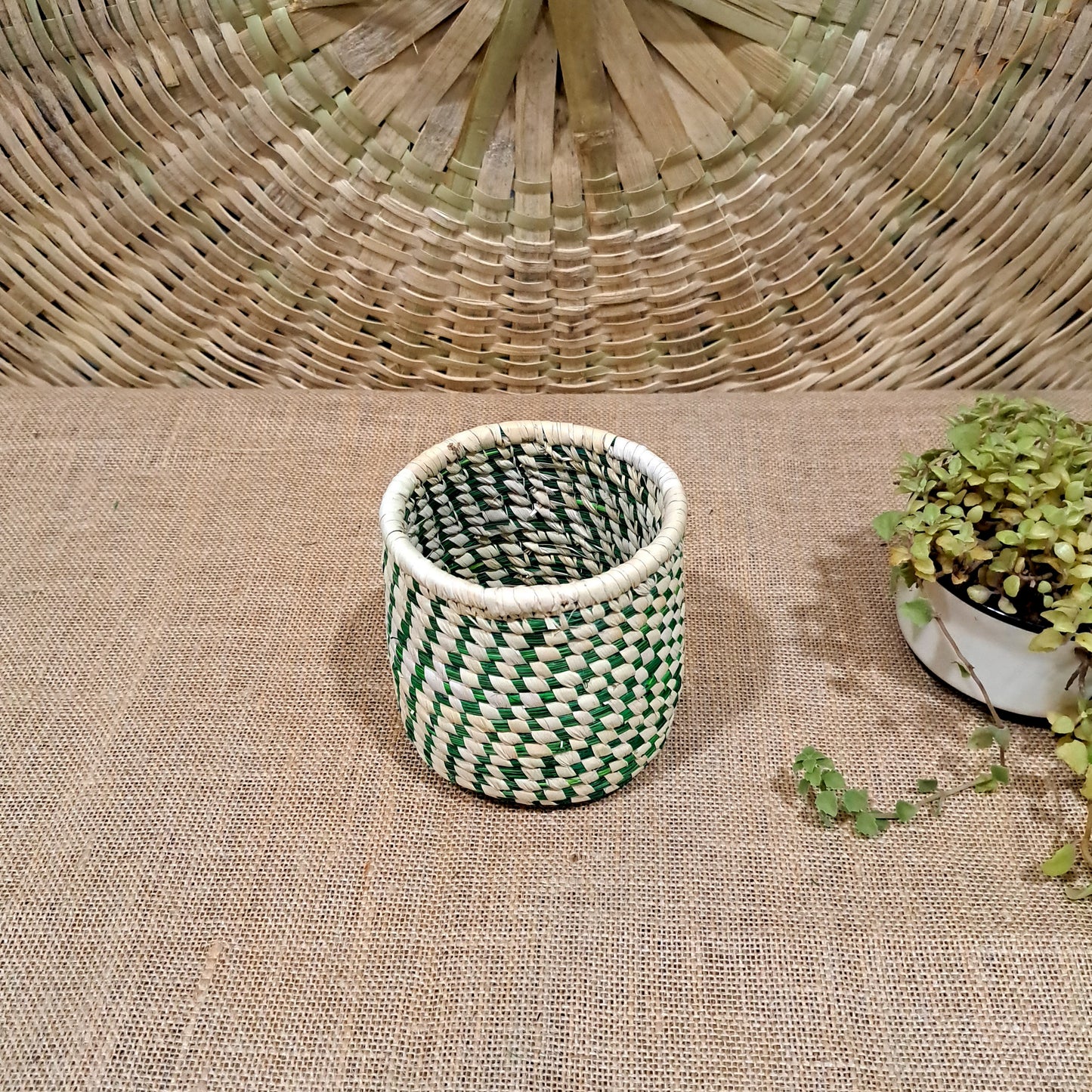 Sabai Planter 4"x4"