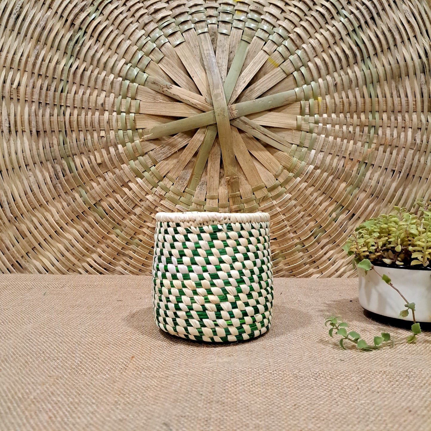 Sabai Planter 4"x4"